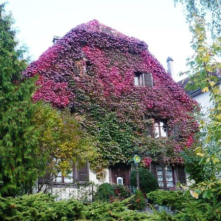 B&B De Charme La Maison Des 5 Temps Ferrette Eksteriør billede