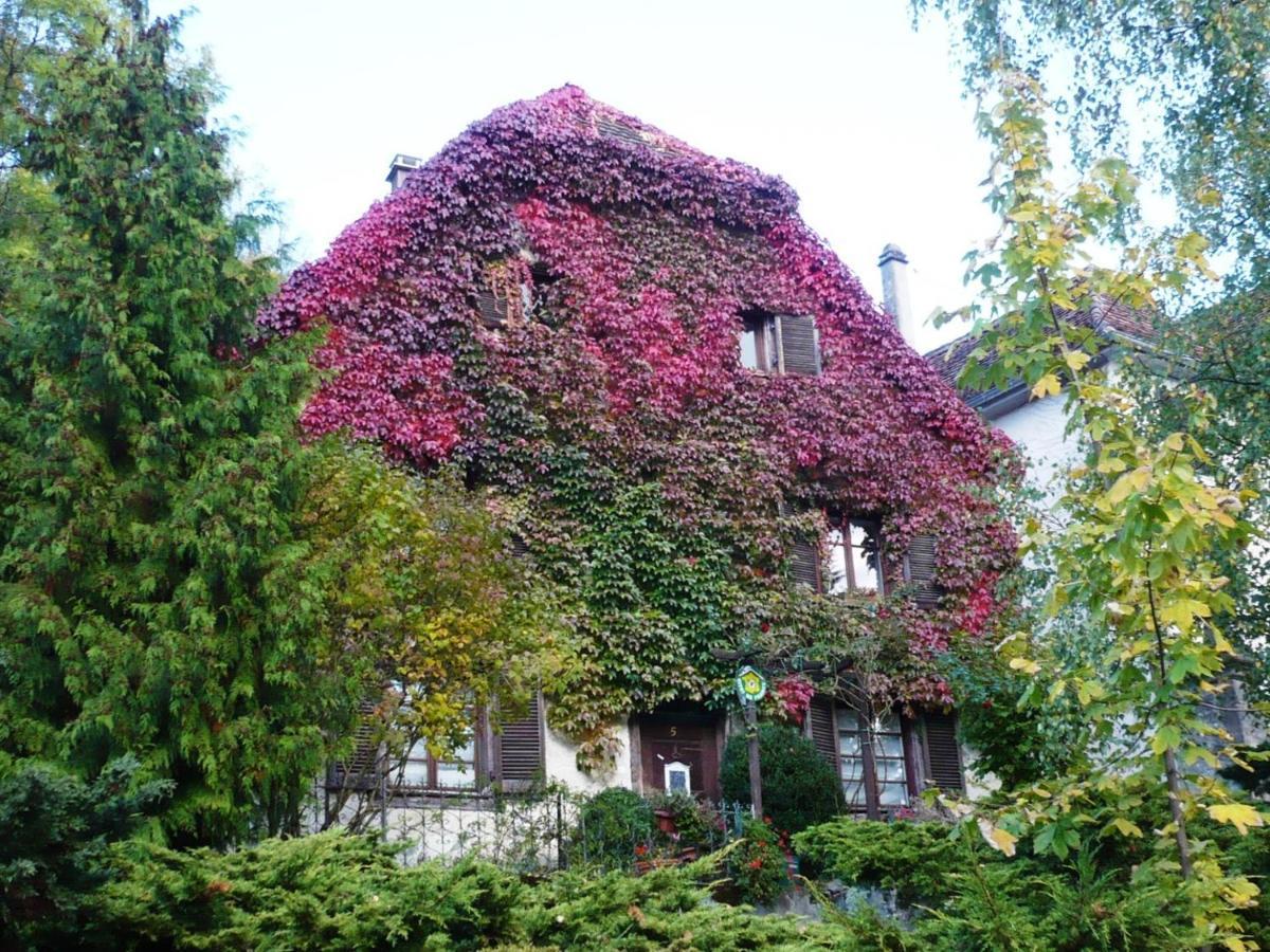 B&B De Charme La Maison Des 5 Temps Ferrette Eksteriør billede