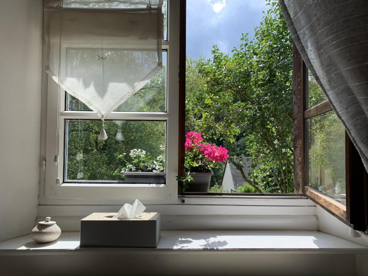 B&B De Charme La Maison Des 5 Temps Ferrette Eksteriør billede
