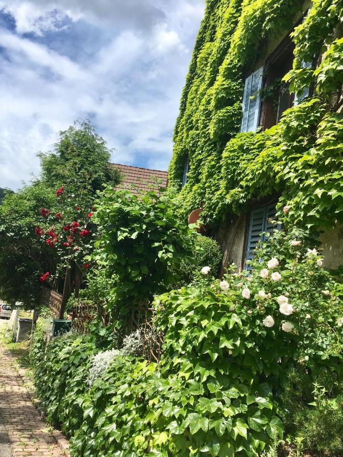 B&B De Charme La Maison Des 5 Temps Ferrette Eksteriør billede
