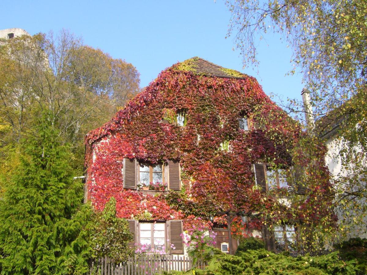 B&B De Charme La Maison Des 5 Temps Ferrette Eksteriør billede