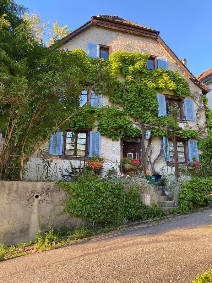 B&B De Charme La Maison Des 5 Temps Ferrette Eksteriør billede