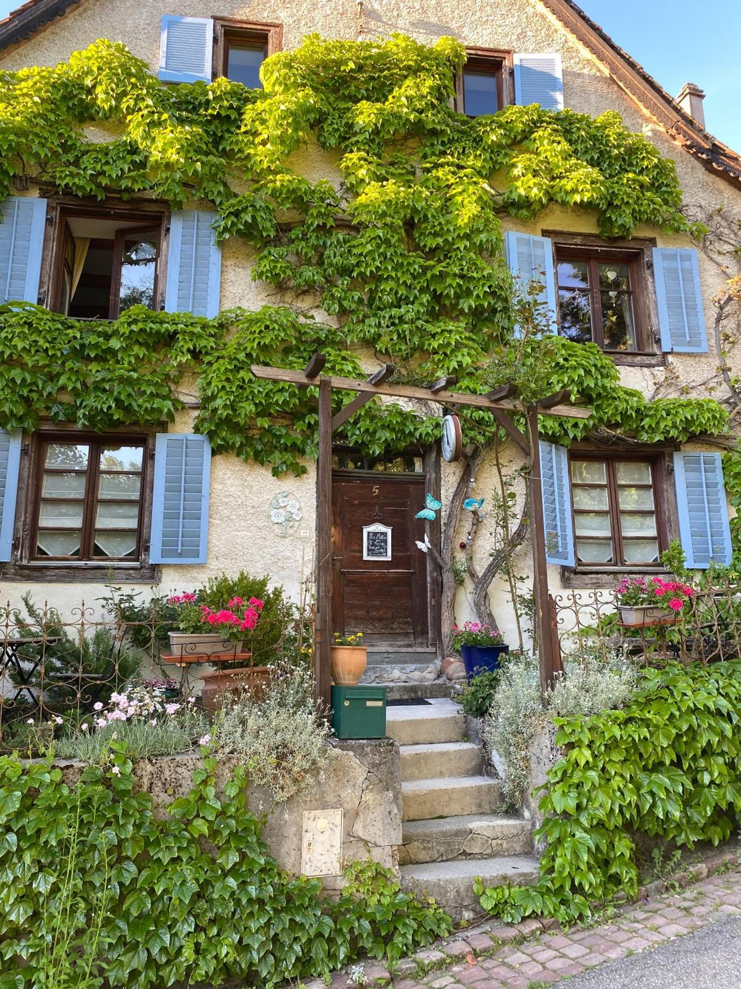 B&B De Charme La Maison Des 5 Temps Ferrette Eksteriør billede