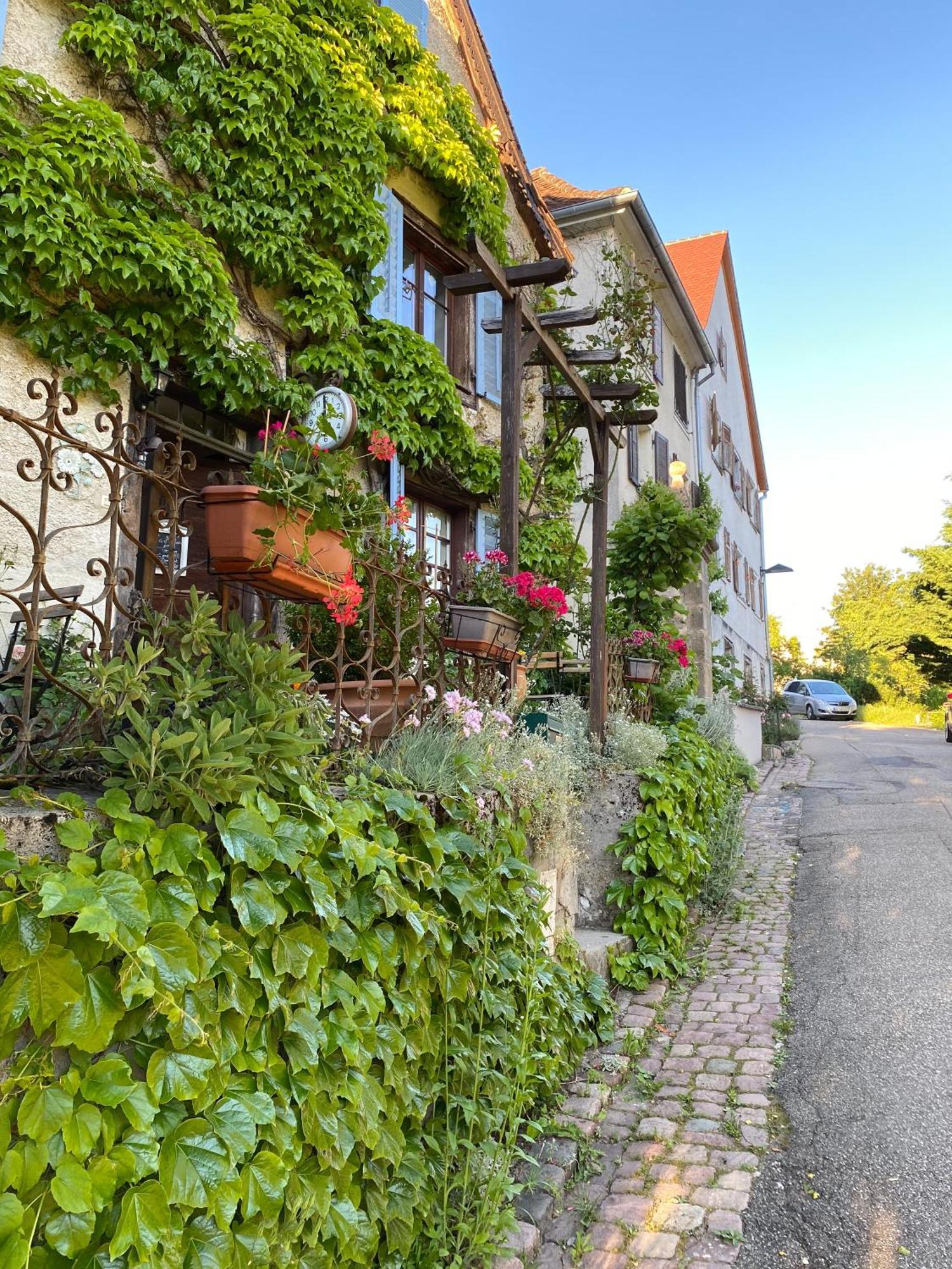 B&B De Charme La Maison Des 5 Temps Ferrette Værelse billede