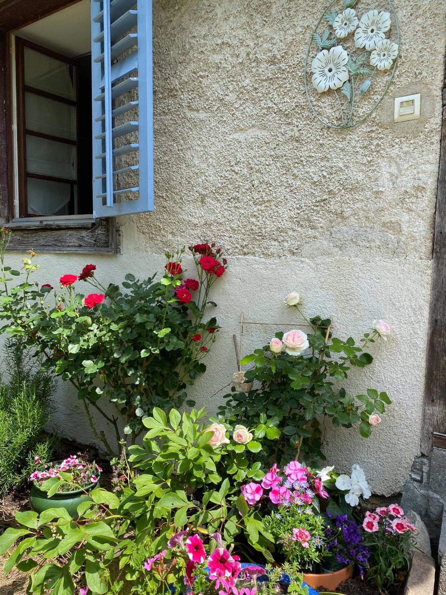 B&B De Charme La Maison Des 5 Temps Ferrette Værelse billede
