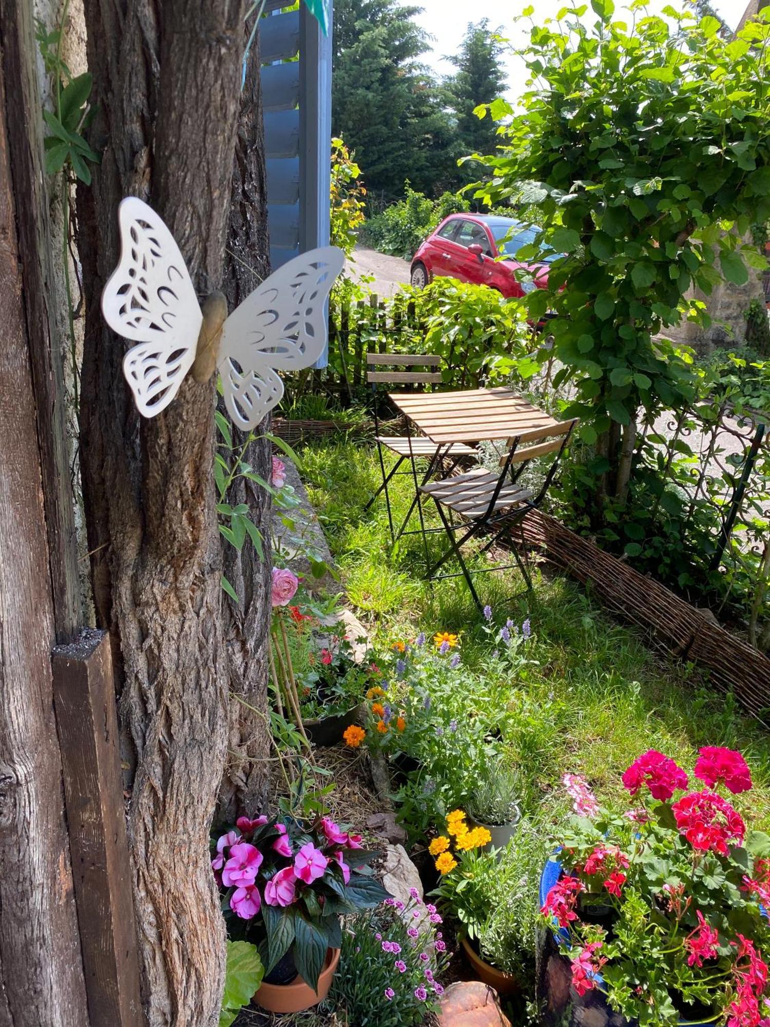 B&B De Charme La Maison Des 5 Temps Ferrette Værelse billede