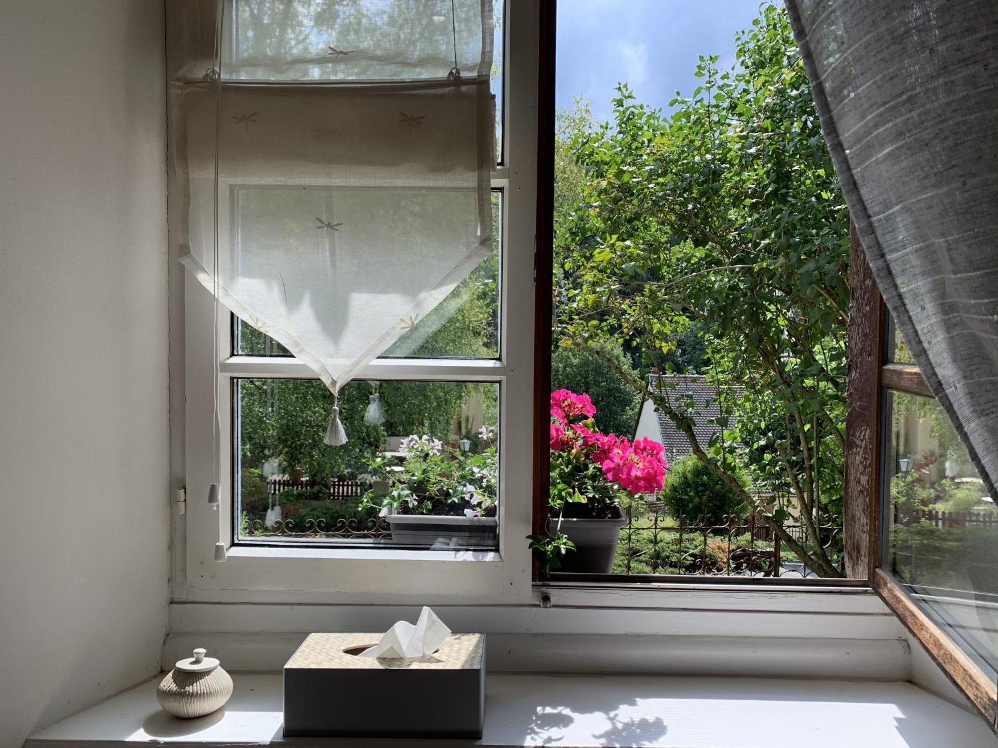 B&B De Charme La Maison Des 5 Temps Ferrette Værelse billede