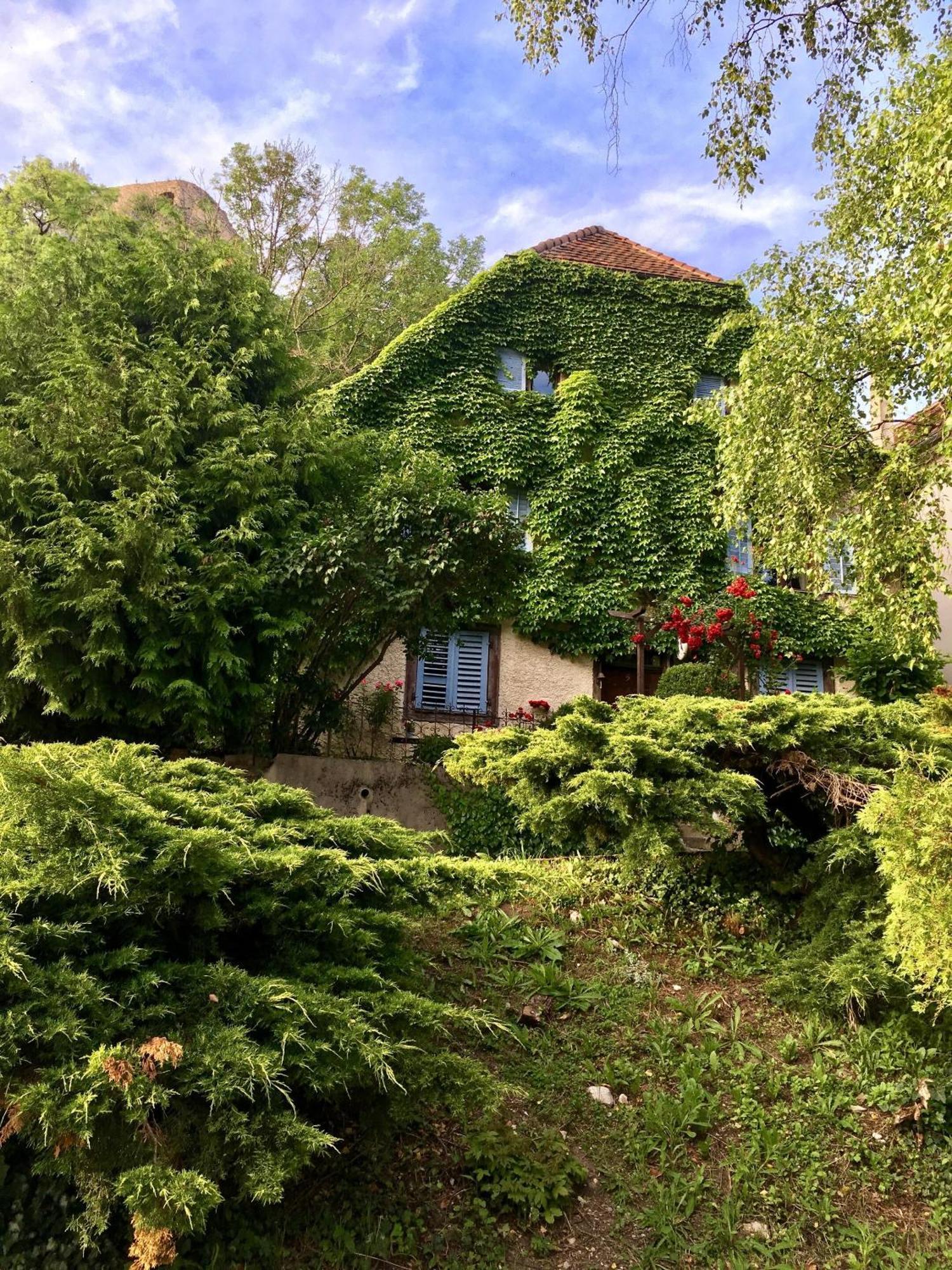 B&B De Charme La Maison Des 5 Temps Ferrette Eksteriør billede